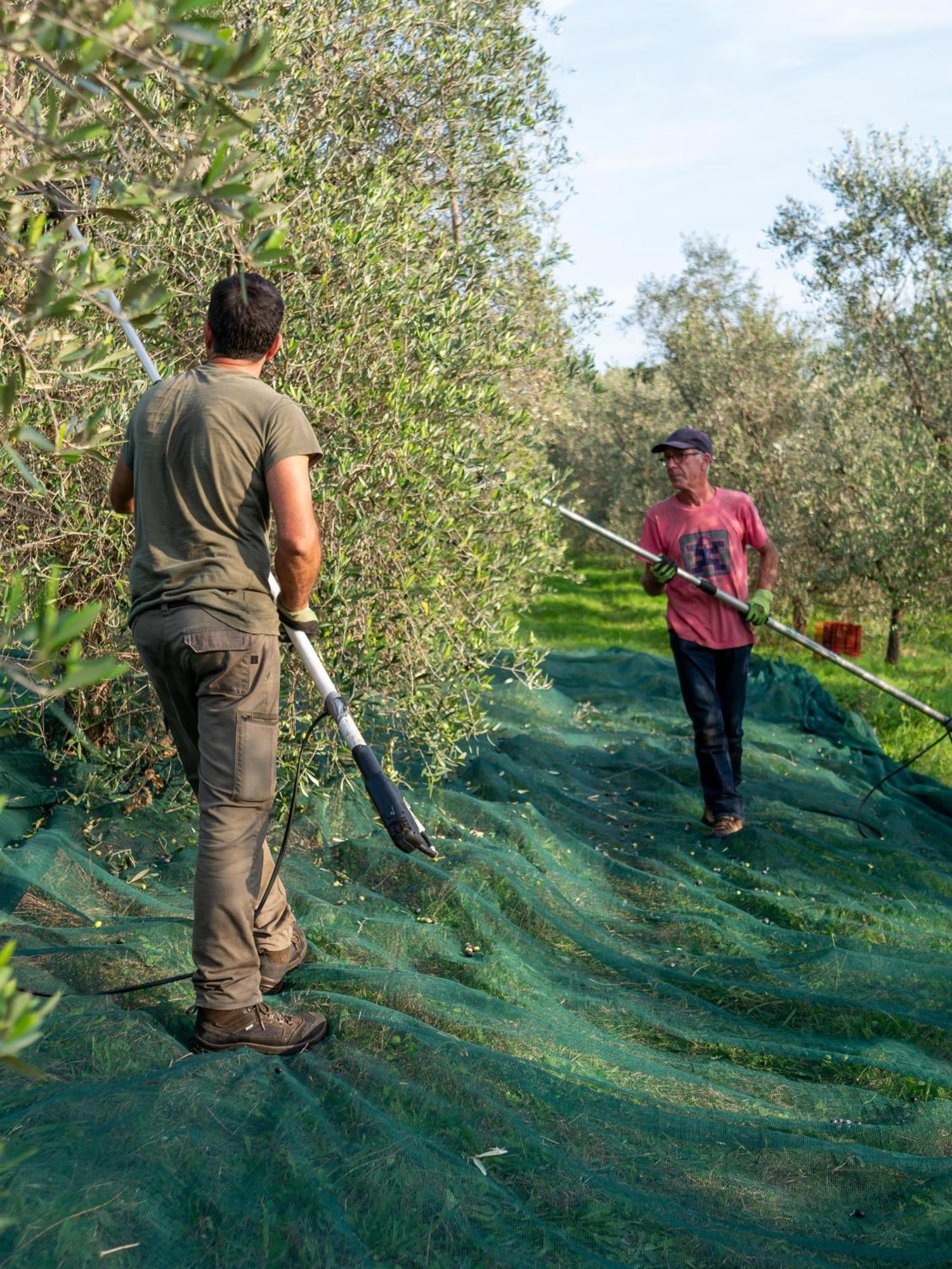 Podere Le Mezzelune بيبونا المظهر الخارجي الصورة